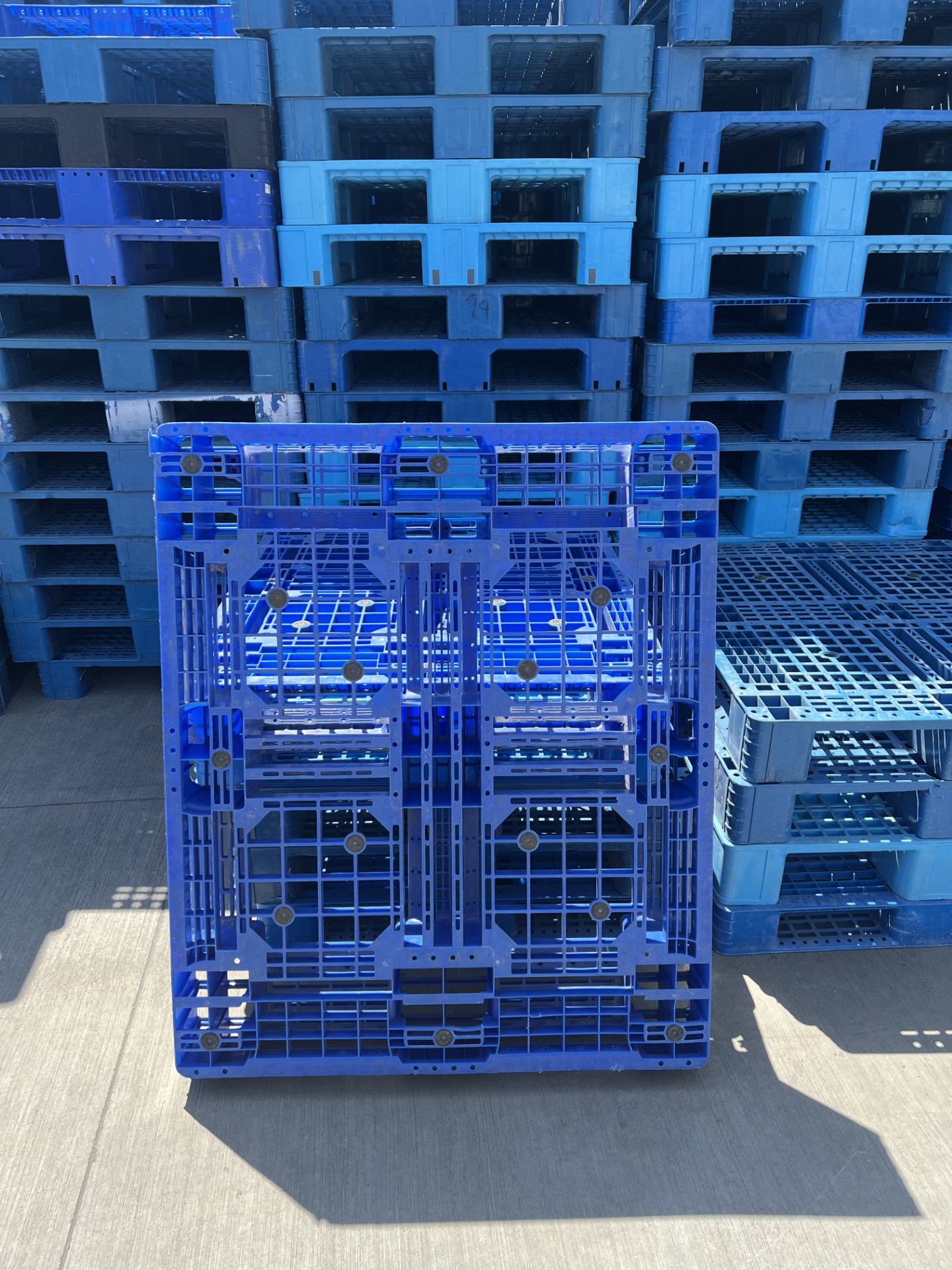 Mixed blue pallets in sunlight